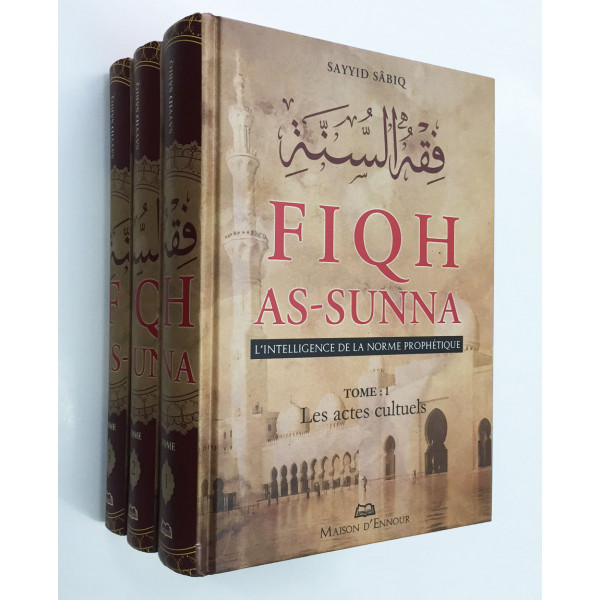 fiqh sunnah sayyid sabiq pdf