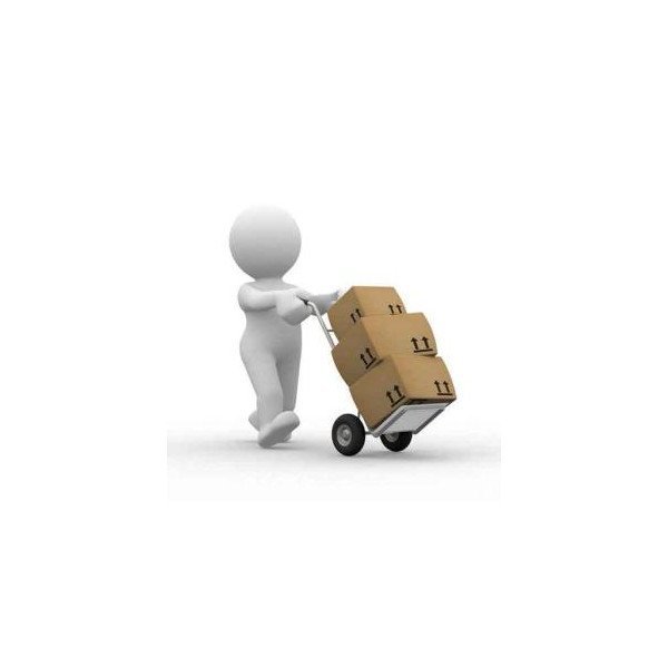Complément de facturation Frais de livraison Envoi Colissimo par la Poste.