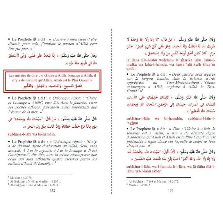 Citadelle Du Musulman - Vert Bleu - Francais Arabe Phonétique - Edition Orientica