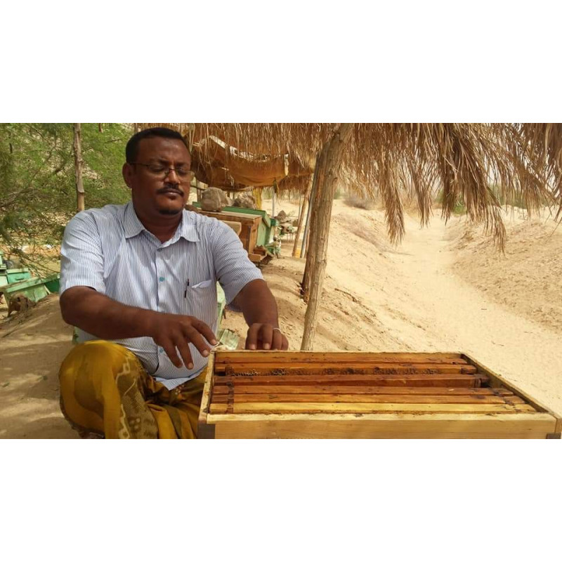 Miel de Jujubier Royal - Miel de Sidr Maliky - Origine Yemen - Trésor du Yémen - 250g Miel de Jujubier Royal - Miel de Sidr Maliky - Origine Yemen - Trésor du Yémen - 250g