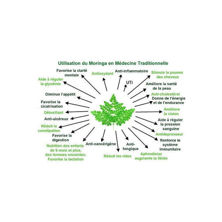 60 Gélules à la Poudre de Moringa BIO - Nigelle Source - 32,70 gr