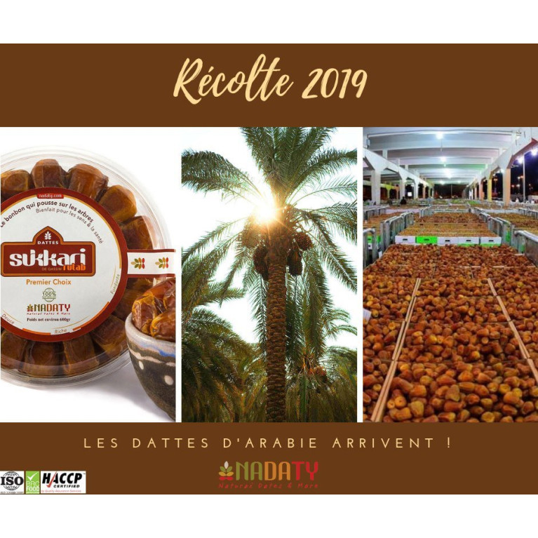 Dattes Sukari Rutab - 100% Naturel - 600 gr - Madina Al Monowara - Arabie Saoudite - Nadaty