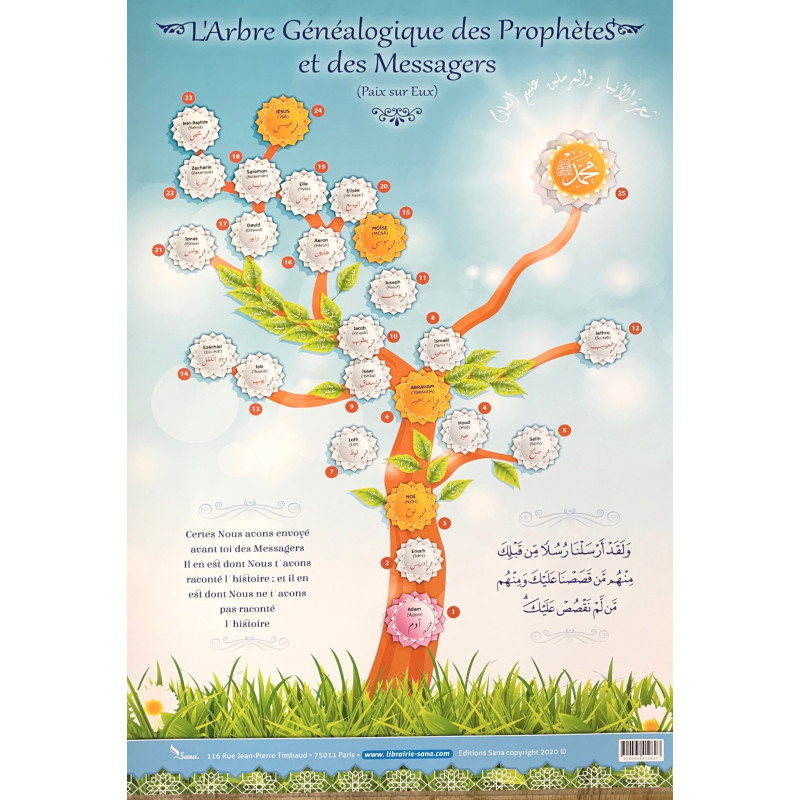 Poster Arbre Généalogique Prophètes et Messagers Al Hidayah