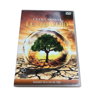 Lot 28 DVD sur les traces des Pieux Prédéceceseurs (Neuf et occasions)