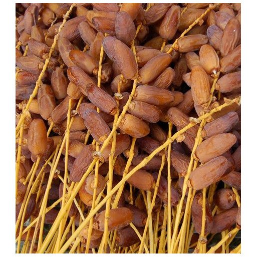 Dattes Algérian Delglet Noor Dates - Ennakhl El Assil - 1 Kg