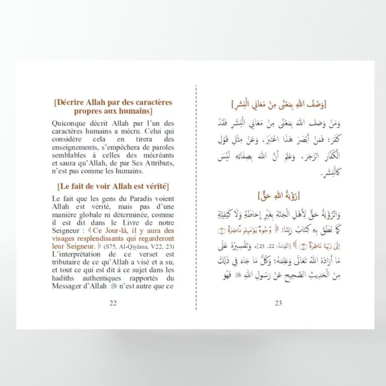 Al Aqida At-Tahâwiya : la profession de foi des gens de la Sunna et du consensus- Bilingue - Ibn Taymiyya- Edition Al Haramayn Al Aqida At-Tahâwiya : la profession de foi des gens de la Sunna et du consensus- Bilingue - Ibn Taymiyya- Edition Al Haramayn
