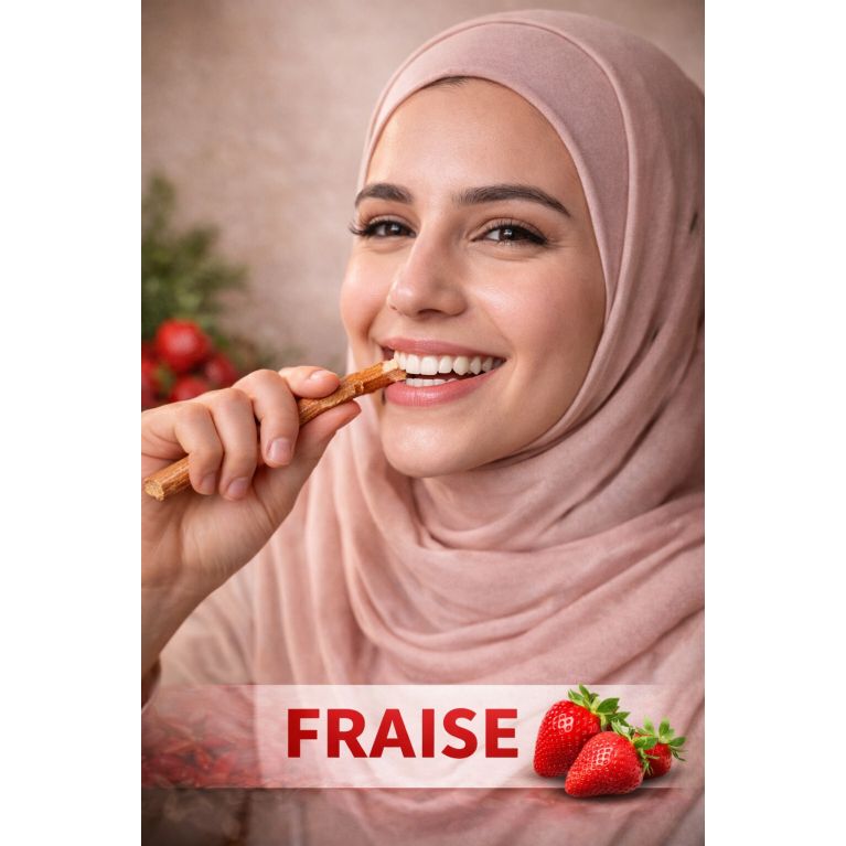 Bâton de Siwak naturel – Miswak pour l’hygiène dentaire – Dar El-Amsar