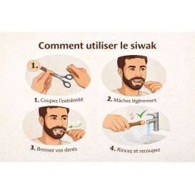 Bâton de Siwak naturel – Miswak pour l’hygiène dentaire – Dar El-Amsar