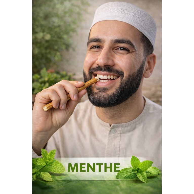 Bâton de Siwak naturel – Miswak pour l’hygiène dentaire – Dar El-Amsar