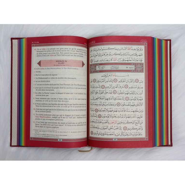 Le Noble Coran Bordeaux - Couverture Daim - Pages En Couleur Arc-En-Ciel, Rainbow - Bilingue Français-Arabe