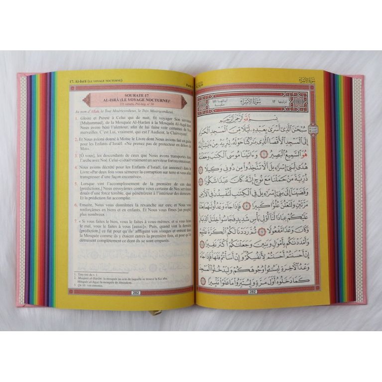 Le Noble Coran Rose Pâle - Couverture Daim - Pages En Couleur Arc-En-Ciel, Rainbow - Bilingue Français-Arabe