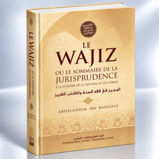 Le Wajiz ou le sommaire de la Jurisprudence - Edition I.I.P.H.