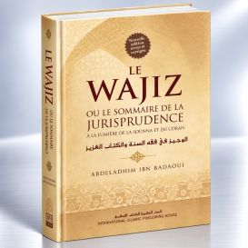 Le Wajiz ou le sommaire de la Jurisprudence - Edition I.I.P.H.