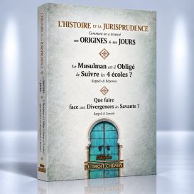 L'histoire de la Jurisprudence - Edition Le Droit Chemin