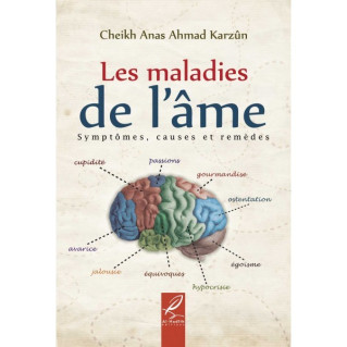 Les Maladies De L'Âme -...