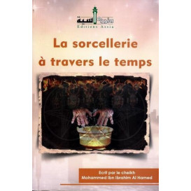 La Sorcellerie à Travers le...